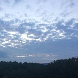 Meet your Posher, Sebastian